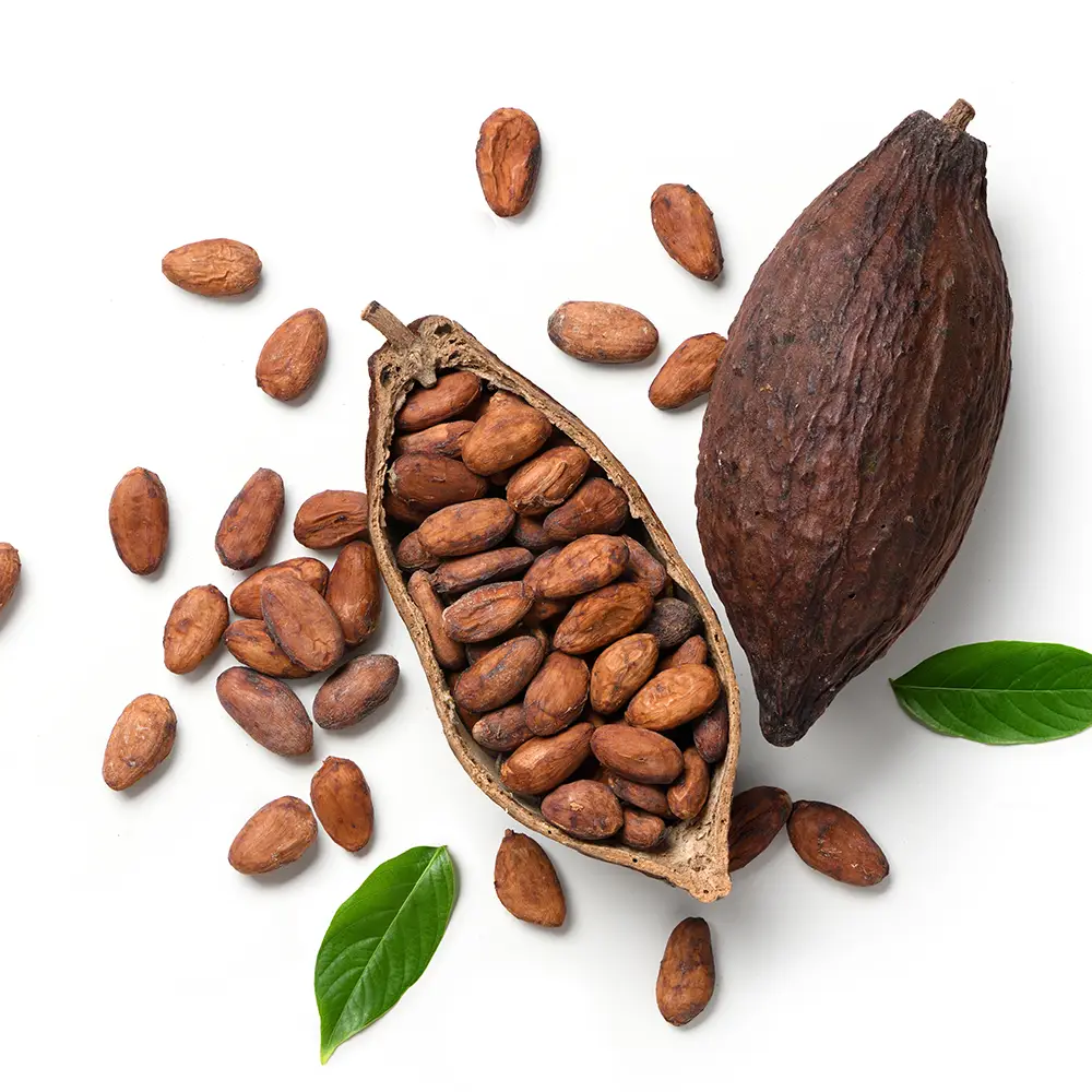 Cacao