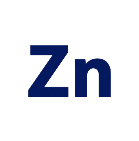 Zinc contributes to normal hair, skin and protection.