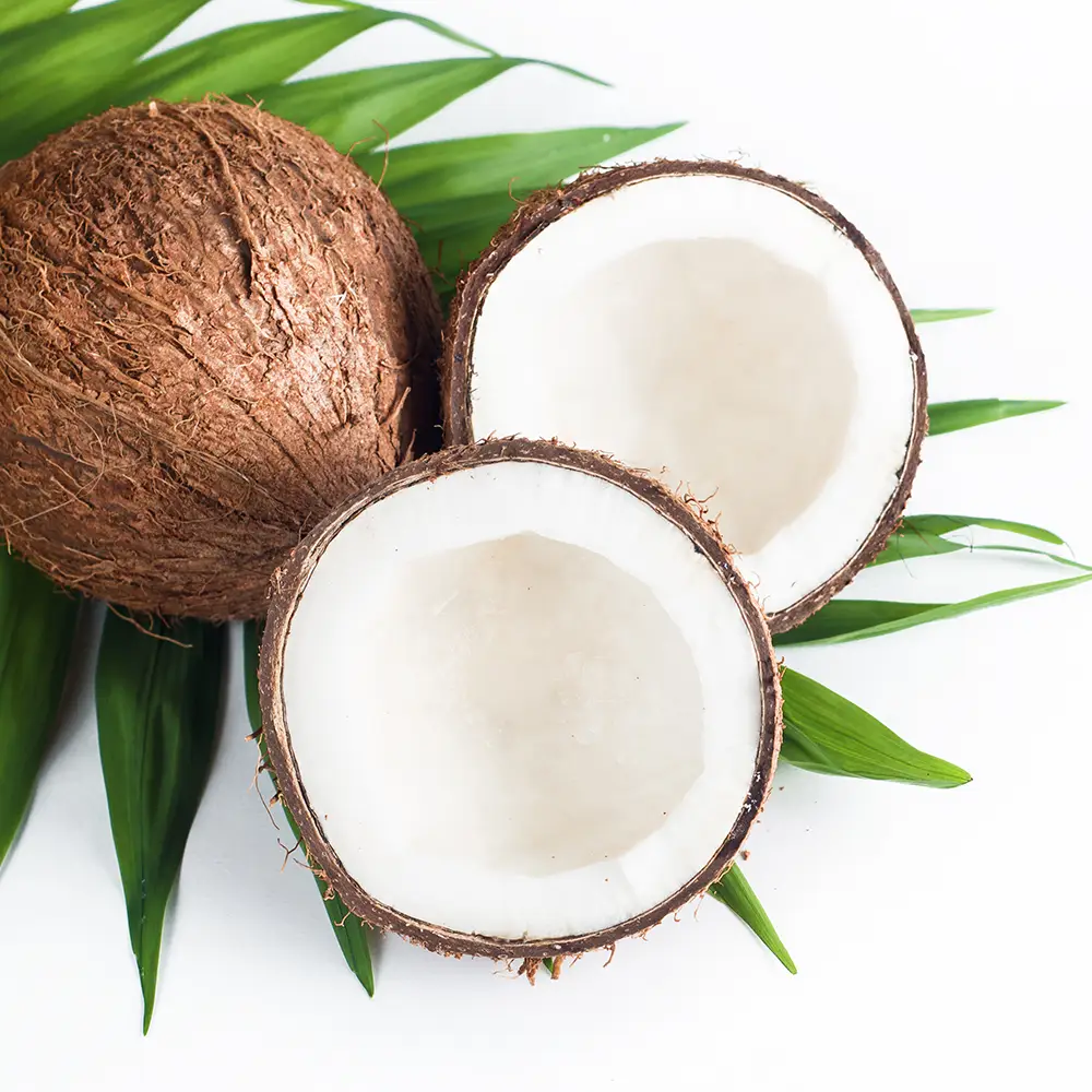 Coconut Oil