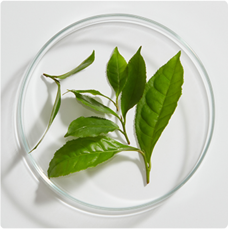 PATENTED BIOCOMPLEX B11