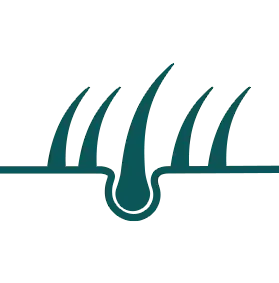 Helps prevent hair loss.