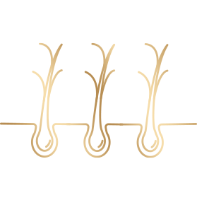 Suitable for dry and damaged hair.