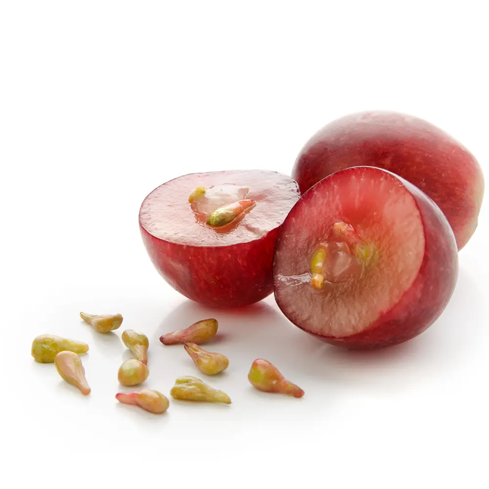 Grape Seed Extract