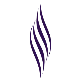 Makes hair thicker and fuller.