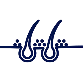 Strengthens hair roots and helps prevent hair loss.