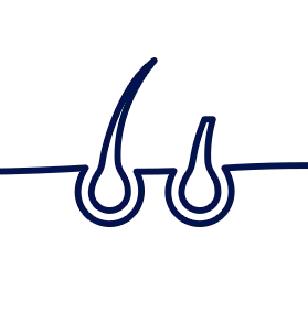 Nourishes thinning and weak hair strands.