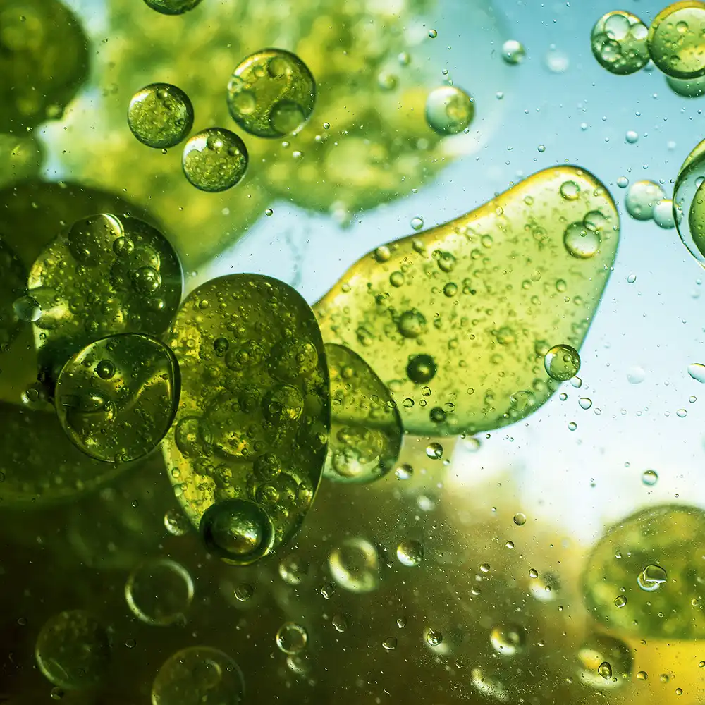 Anti-Aging Herbal Complex