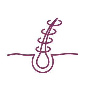 Biotin contributes to the maintenance of normal hair.