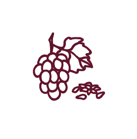 It contains hydrolyzed keratin, radish, grape seed, nettle, and garlic, all known for their benefits to hair health.